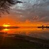 jocelyndelan646